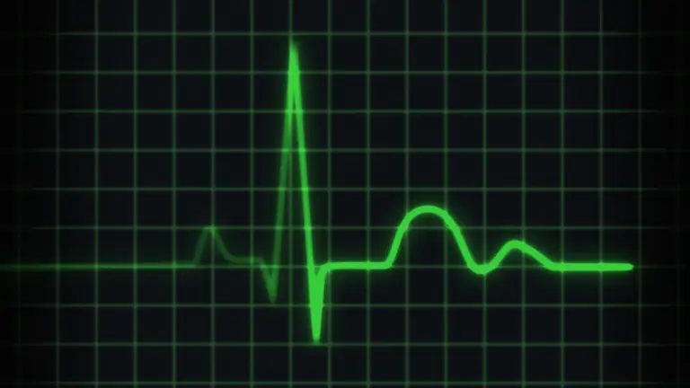 heart beat