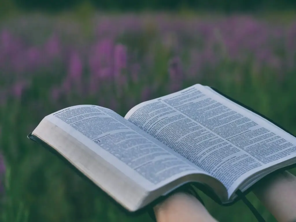 A bible open in a field of purple flowers