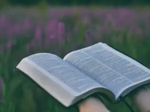 A bible open in a field of purple flowers