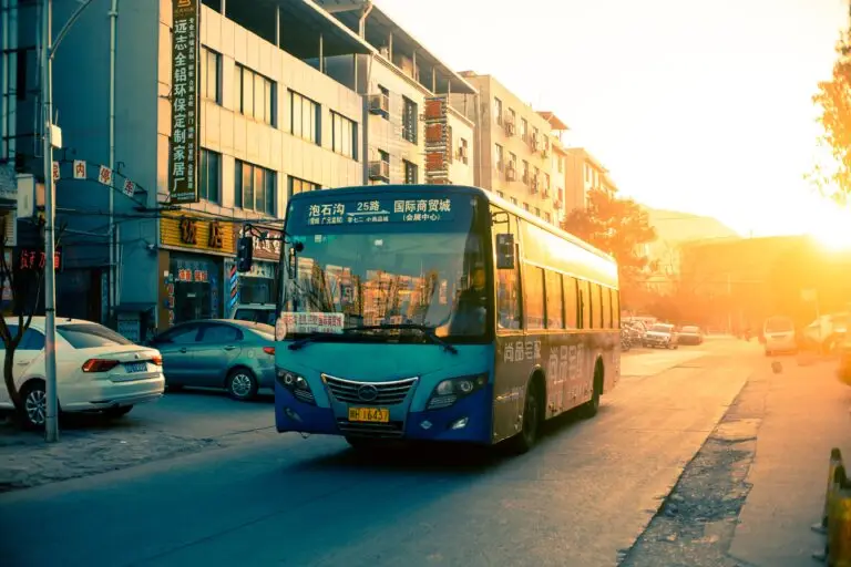 bus